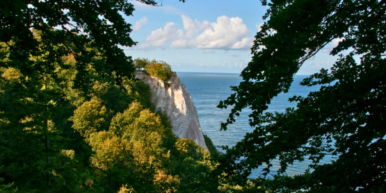 Rügen erleben & genießen Rügen erleben & genießen