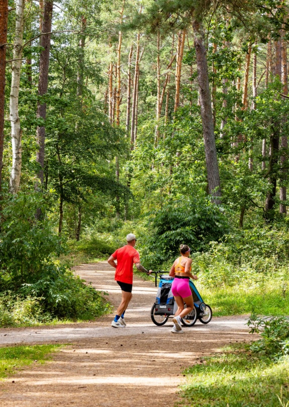 ZG_Fit-durch-die-Baaber-Heide