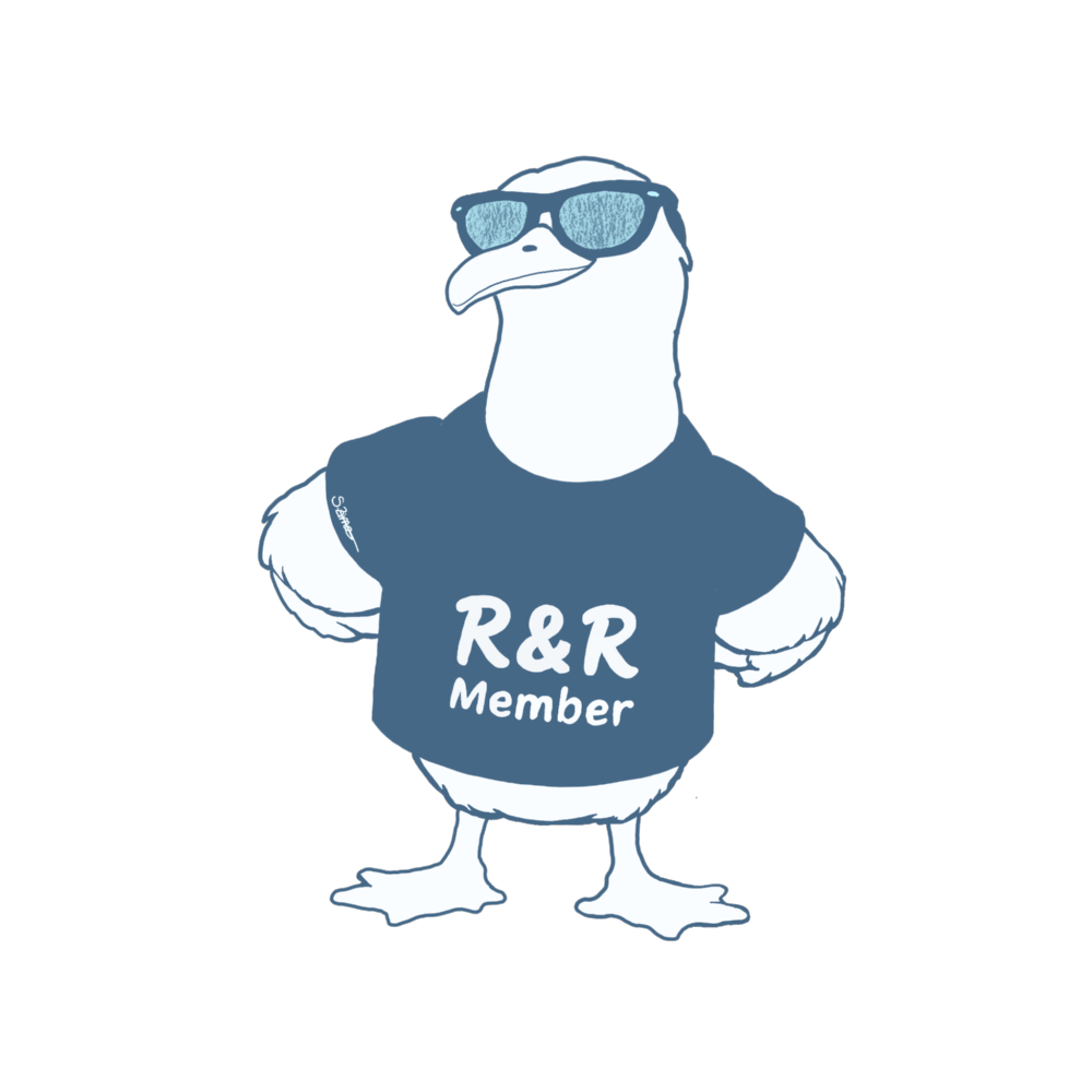 R&R Member Möwe