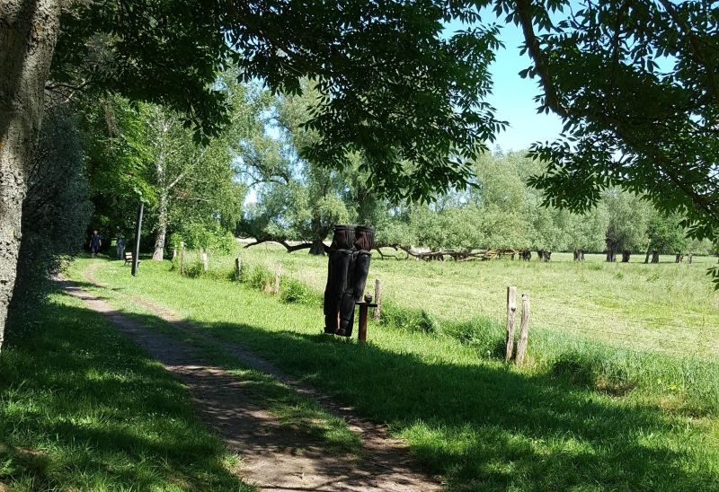 Um den kleinen Ort Middelhagen auf der Halbinsel Möchgut schlängelt sich dieser wunderschöne Wanderweg am Dorfbach entlang